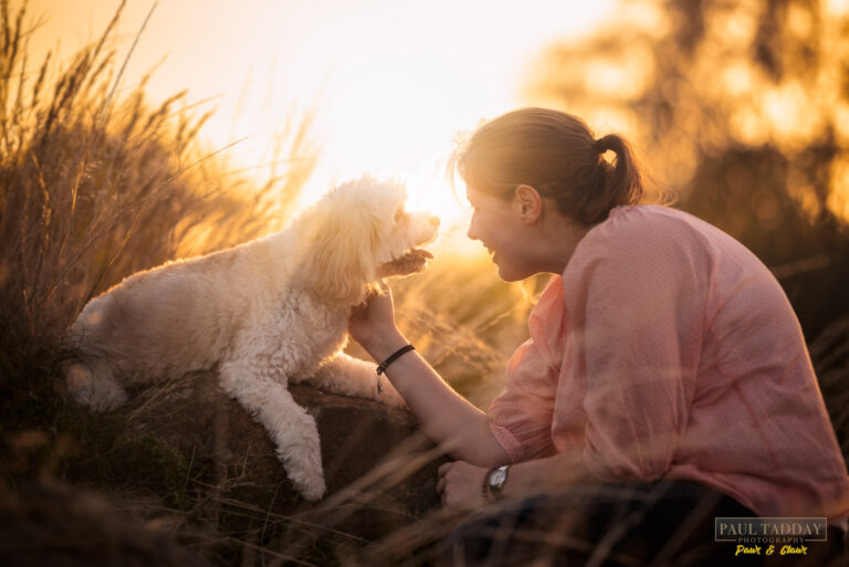 Molly Cavoodle 260322 sm 29 768x513