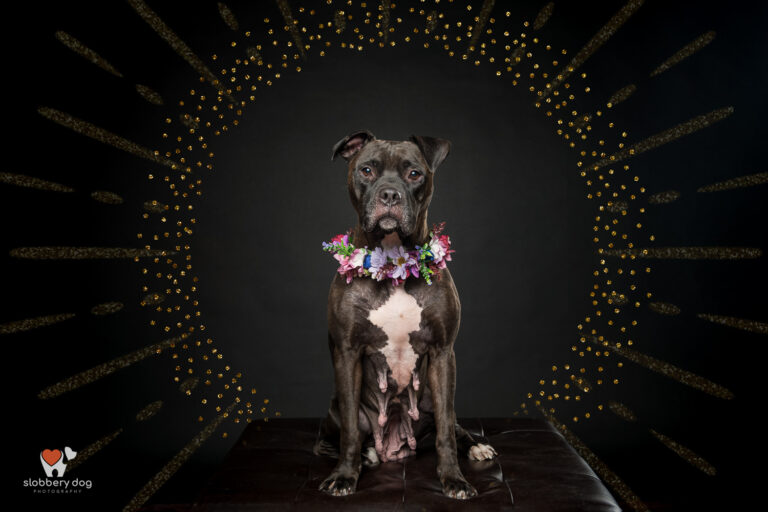 N205457 Edit 768x512