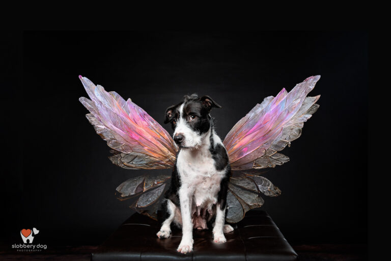 N205540 Edit Edit 768x512