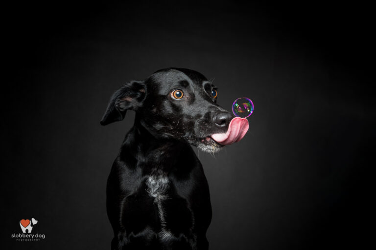 N208631 Edit 768x512