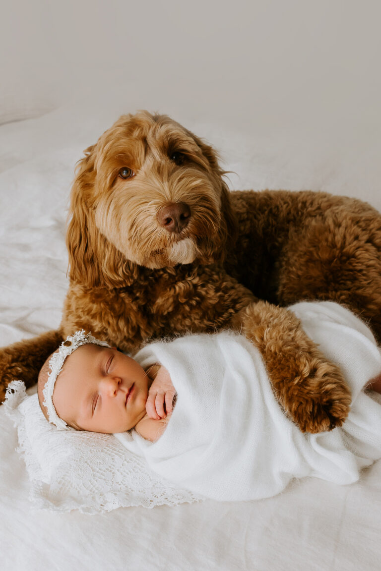 Newborn baby pregnancy maternity family photographer photoghraphy gold coast Brisbane Winni Mini Photography 15 768x1152