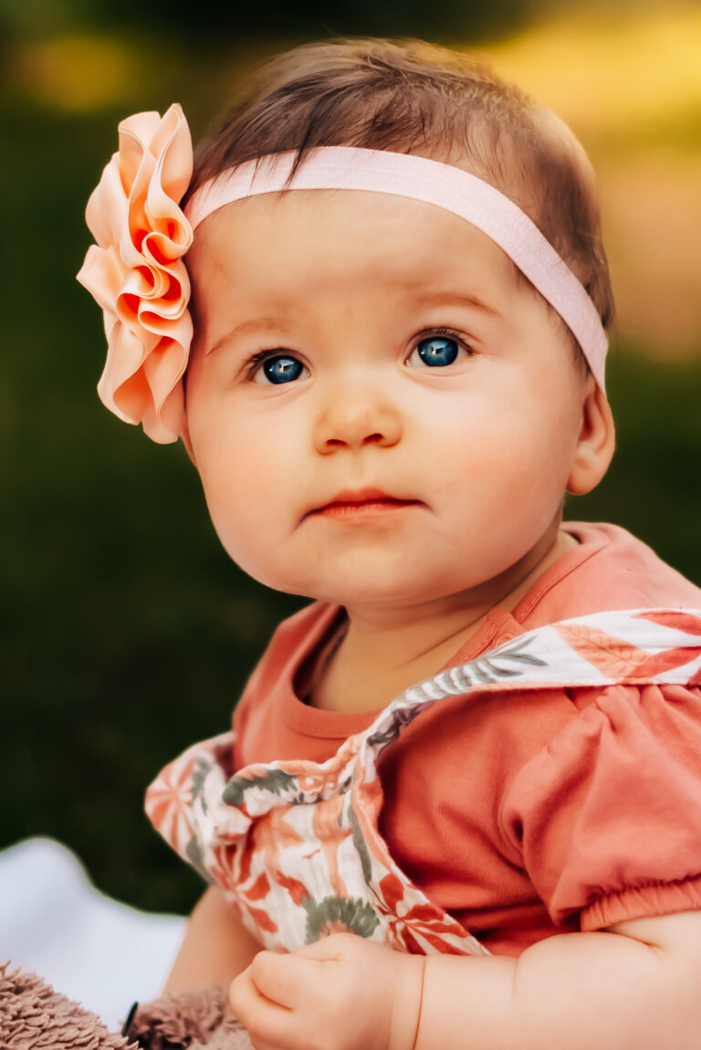 PJP 6090 Edit 768x1150