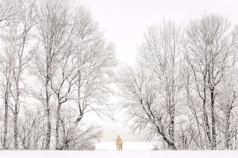 2022 overall winner: Valerie Oberreiter