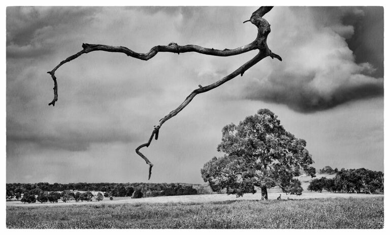 QLD2015 GarnerK 1 web 768x462