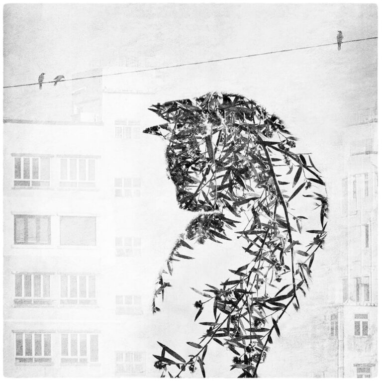 QLD2015 GarnerK 3 web e1620391053777 768x766