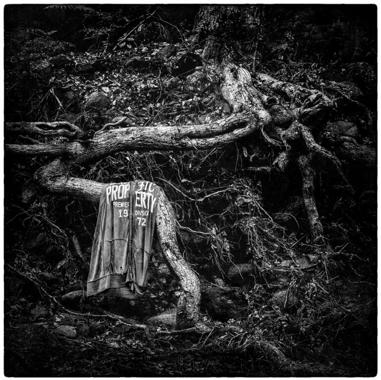 QLD2015 GarnerK 04 1 scaled e1620390998603 768x766