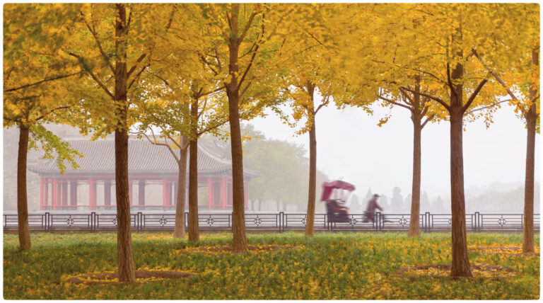 QLD2016 GarnerK 01 scaled 1 768x428