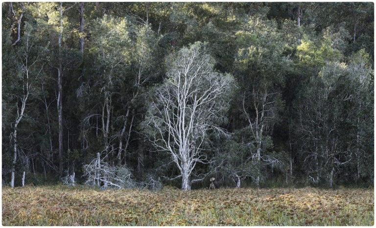 QLD2018 GarnerK 3 768x466