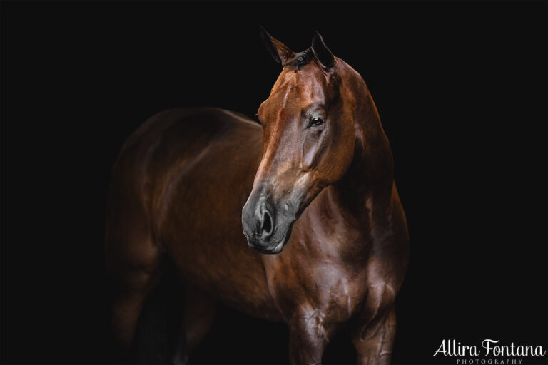 S110307 copy Edit 768x512