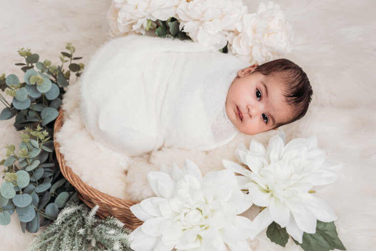 SHAREABLE 24 768x513