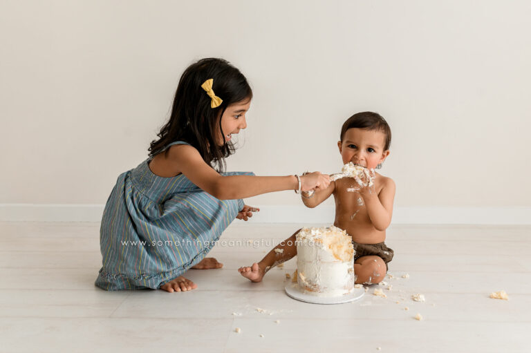 SM 8373 copy 768x511