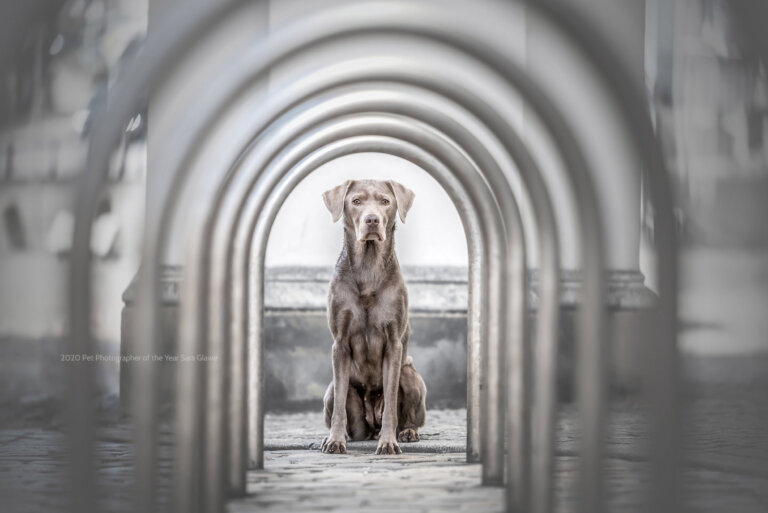 2020 overall winner: Sarah Glawe