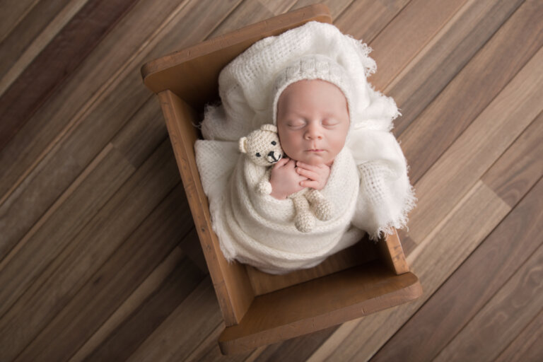 ShaBo STUDIO 6259 768x512