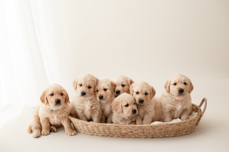 Slideshow 18 768x512