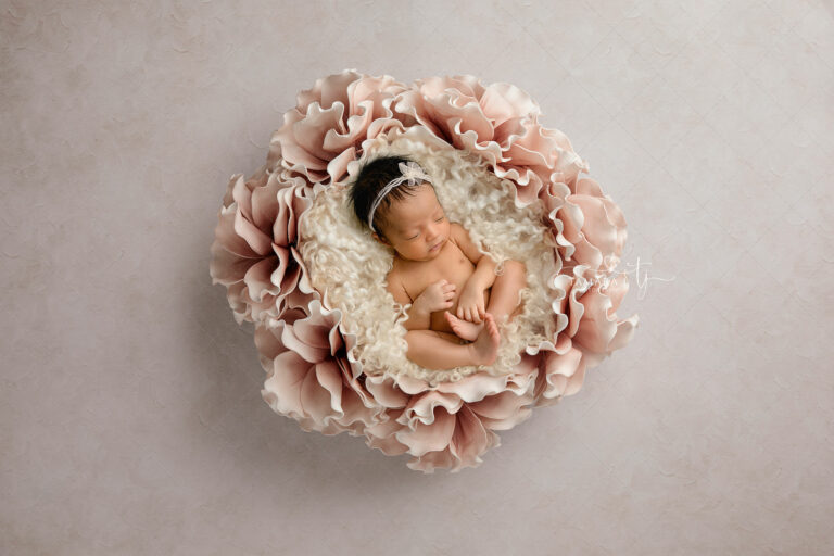 TJP 2110 Floral Composite 2 Cpmplete copy 768x512