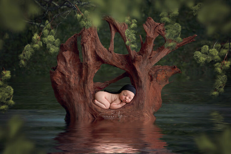 TJP 2356 Tree Complete FB copy 768x512