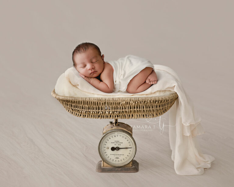 TJP 2529 Scale Comp Complete copy 768x614