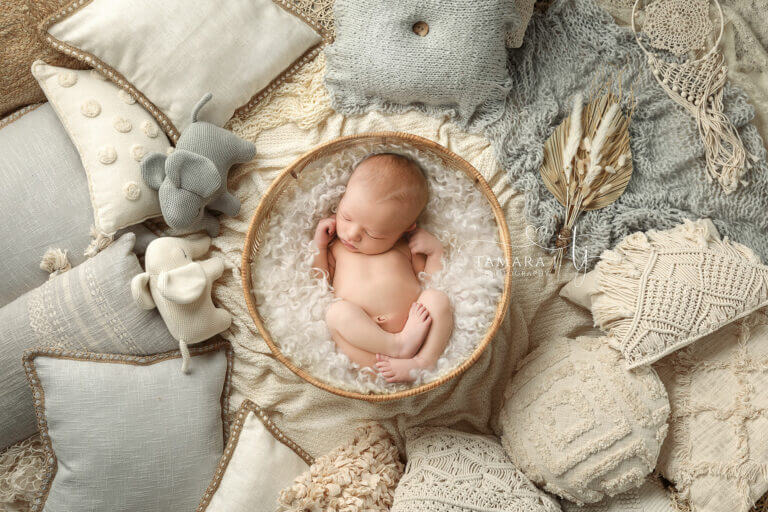 TJP 2975 Boho Complete copy 768x512