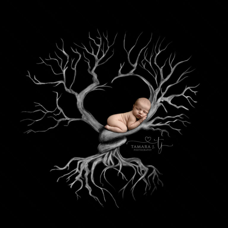 TJP 5940 Tree Complete copy 768x768