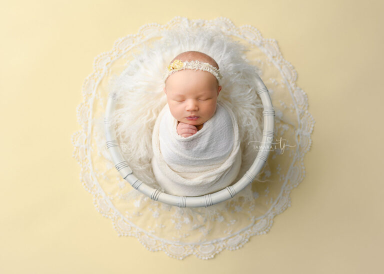 TJP 6428 Complete copy 768x548