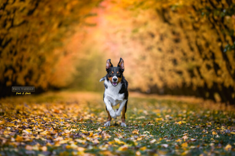 Unleashed NZ April 2023 154389 Enhanced NR Edit 768x512