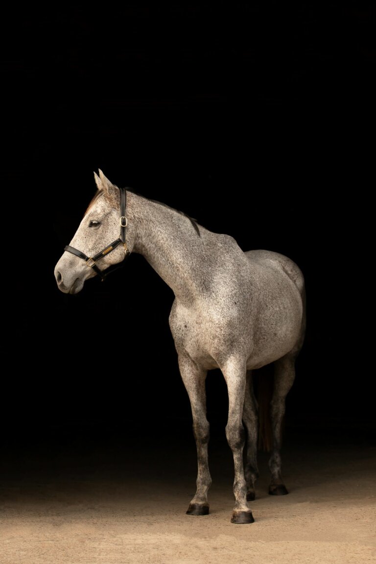 Untitled 145 768x1152