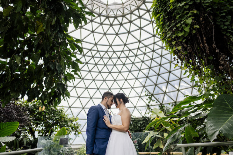 VYHighlights 164 768x512