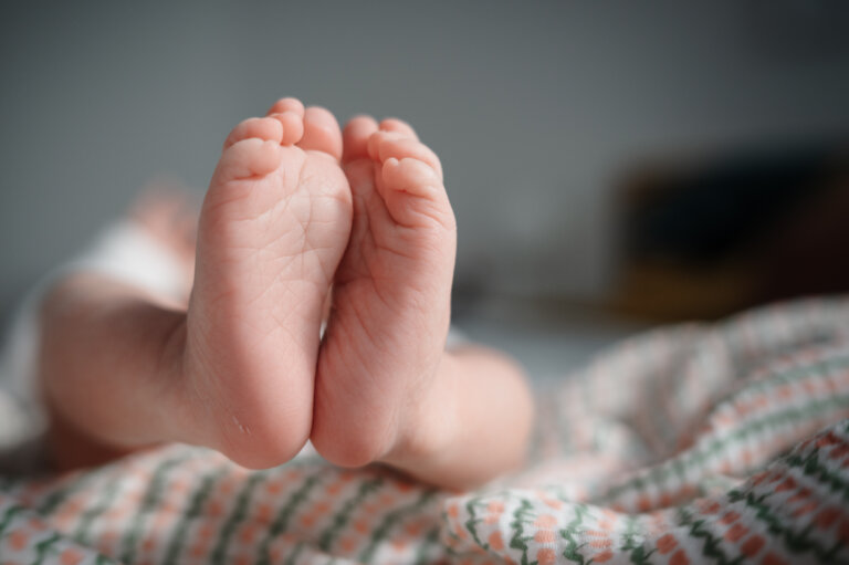 Vero Wilson Photography 1859 768x511