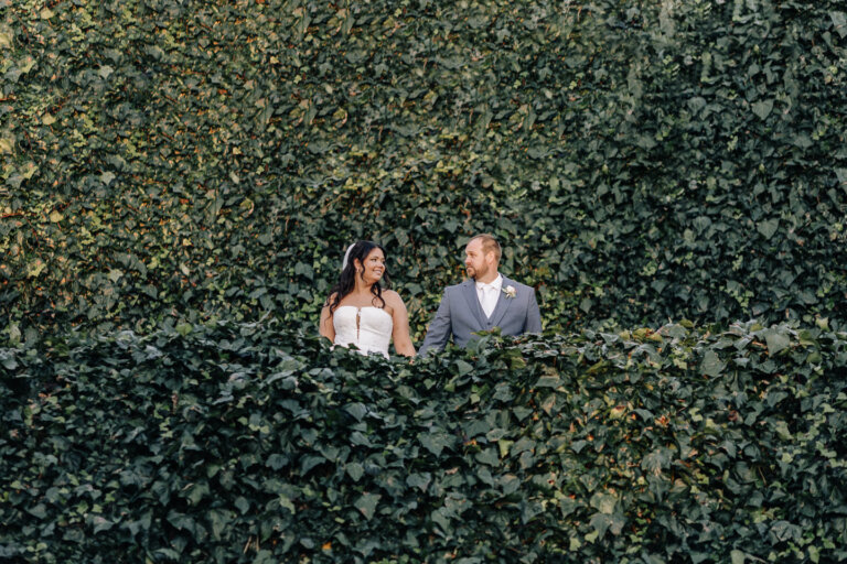 Waterlilly 799 768x512