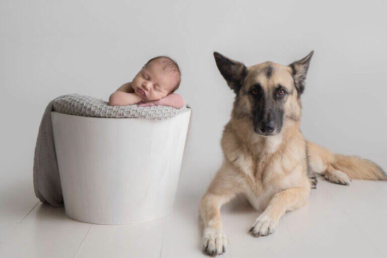 edinburgh newborn photography with dogs 001 768x512