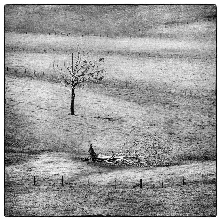 kylie garner photography brisbane TheClearing 768x768