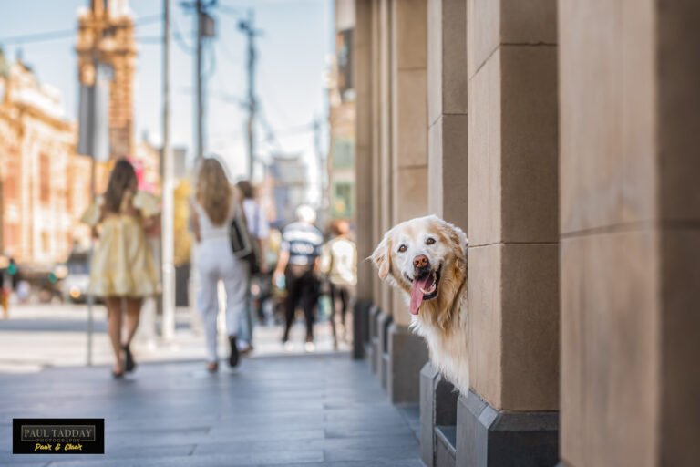 maggie 2 paultadday 768x512