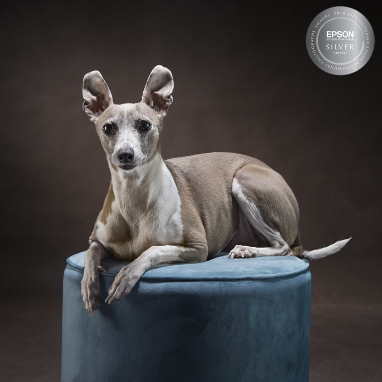 mepyke 201802280195  768x768