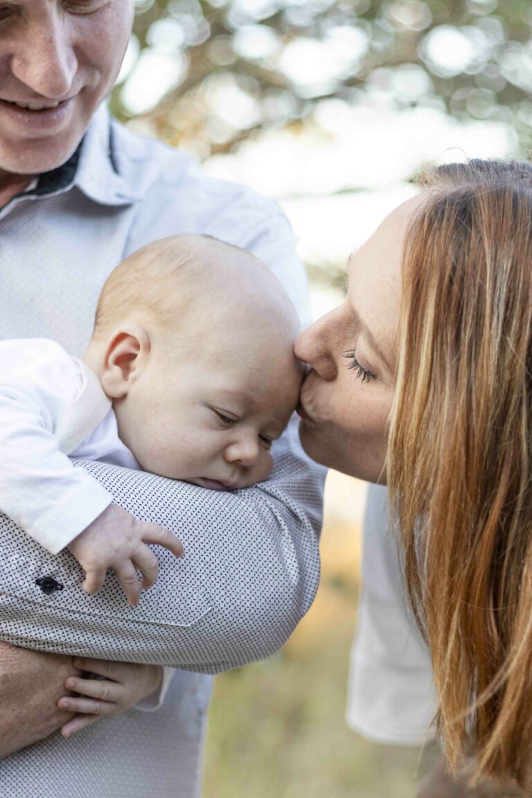 oakroots119 copy 768x1152