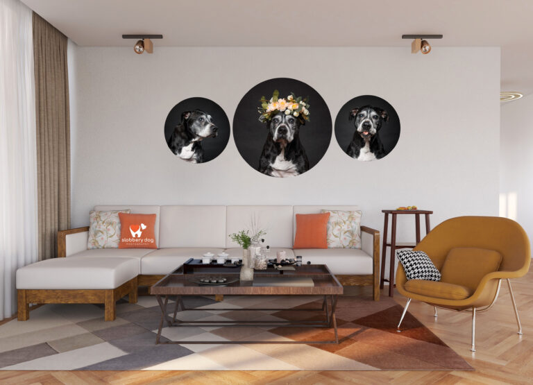 penny feb cover 768x555