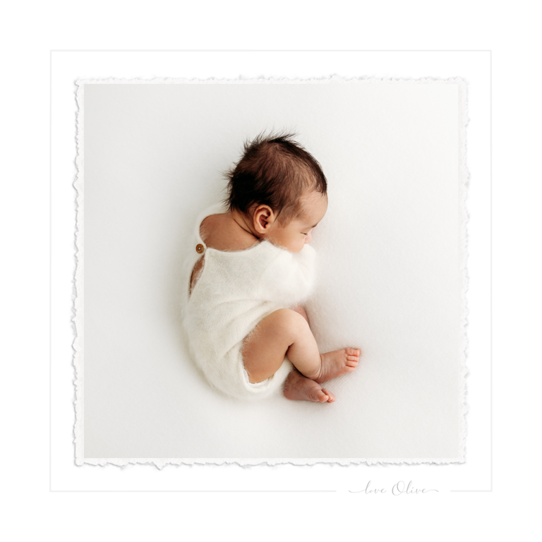 ppbnSocial Media Square Image Raphael 768x768