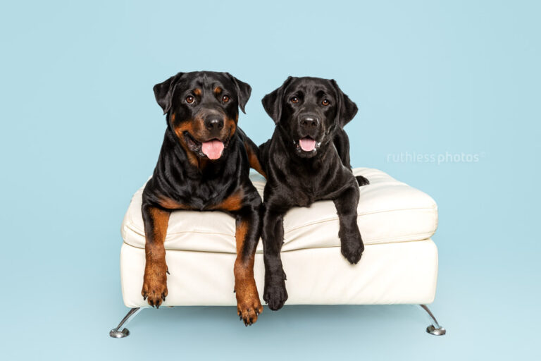 ruthlessphotos LR 1363 768x512