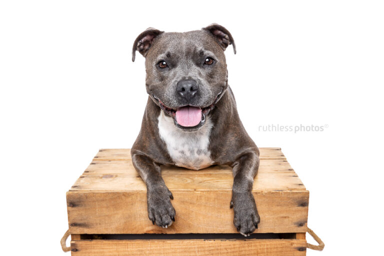 ruthlessphotos LR 2575 768x512