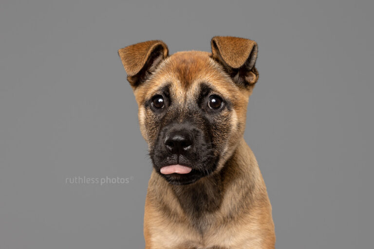 ruthlessphotos LR 3425 768x512