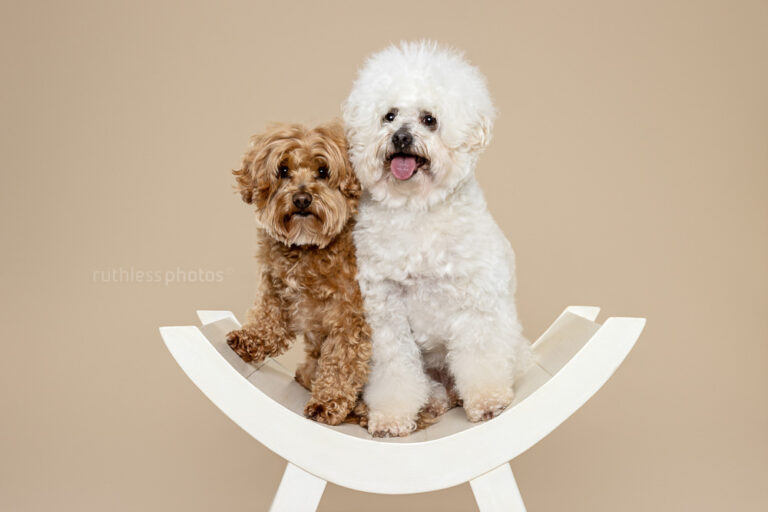 ruthlessphotos LR 7160 768x512