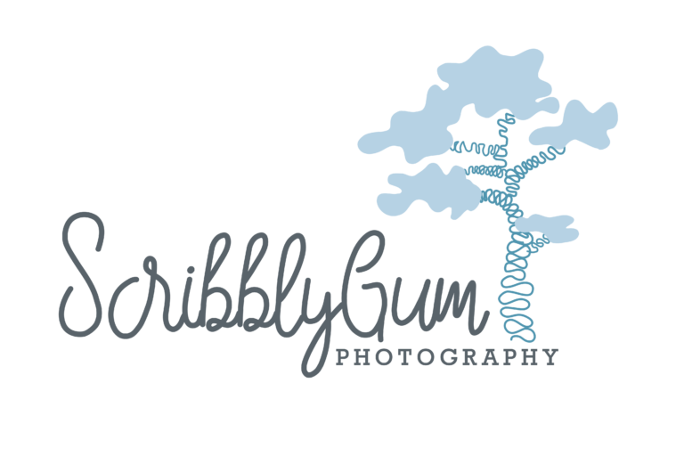 scribblygum logo 768x512