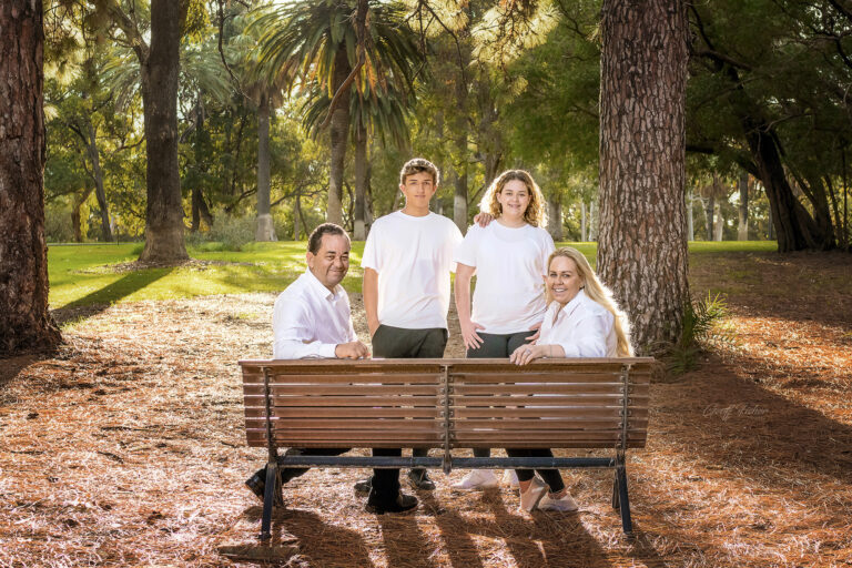 williams 001 768x512